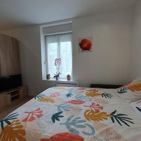 Apartamento Studio Coquelicot Nancy Exterior foto