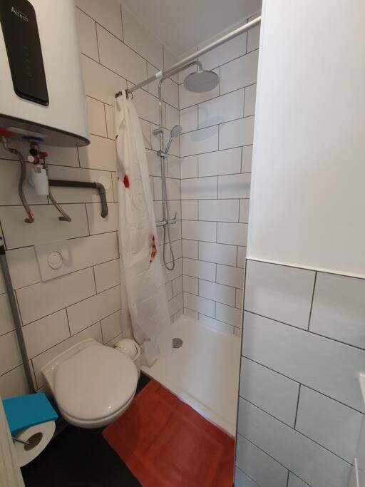 Apartamento Studio Coquelicot Nancy Exterior foto